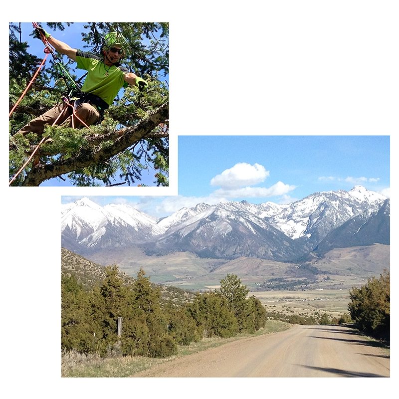 About Rootbound Arborists