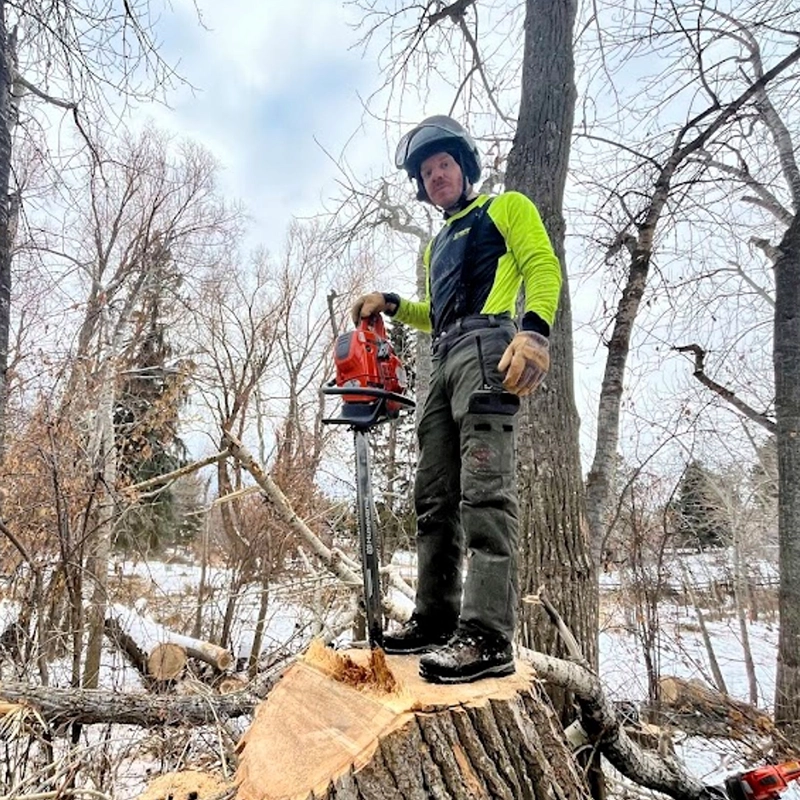 Arborist Standing On A Tree Stump