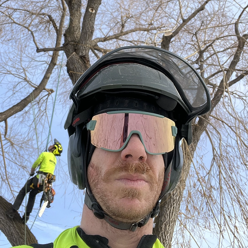 Cabling And Bracing Services In Bozeman MT