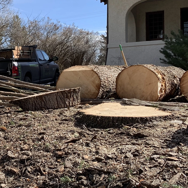 Stump Grinding Services