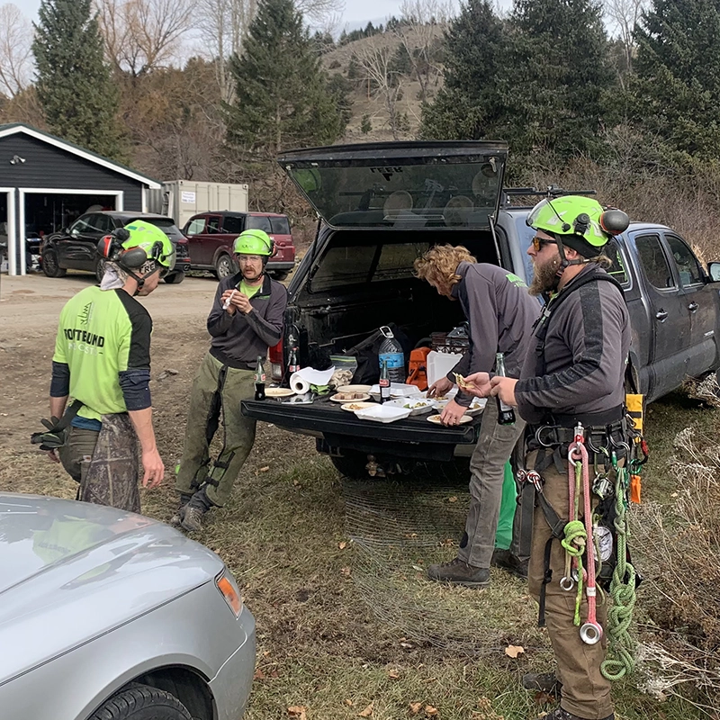 Wildfire Preparedness Services