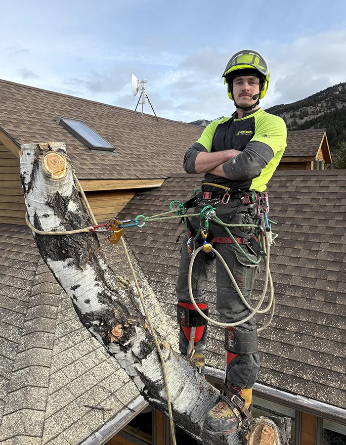 Tree Risk Assessment Services