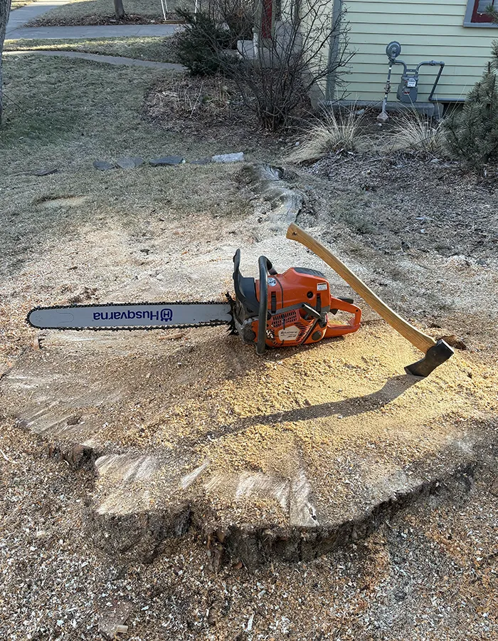 Tree Stump With A Chainsaw